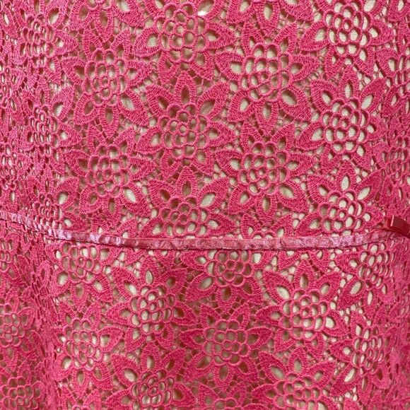 Tibi Skirt Size 6 Pink Lace Overlay - Picture 2 of 5